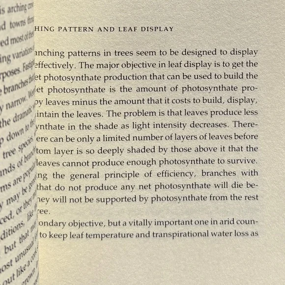 1984 The Growing Tree Forestry Student Tree Arborist Woods Forest Biology Nature - Picture 3 of 8